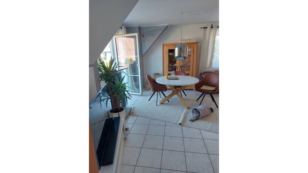 2½ room apartment in Dasing, furnished, temporary