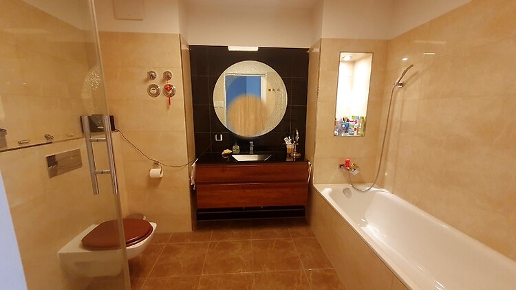 Picture 8