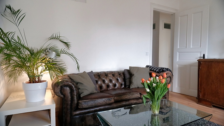 3½ room apartment in Hamburg - St. Georg, furnished