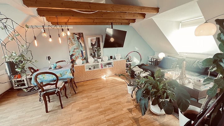 2 room apartment in Köln - Lindenthal, furnished, temporary