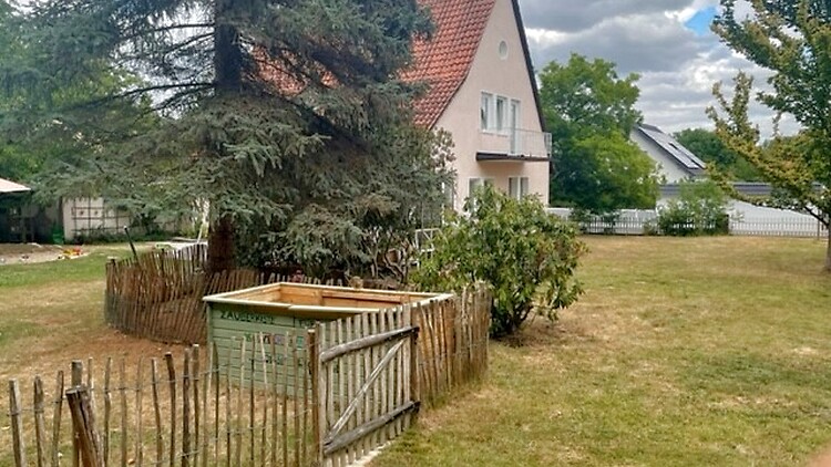 Picture 10