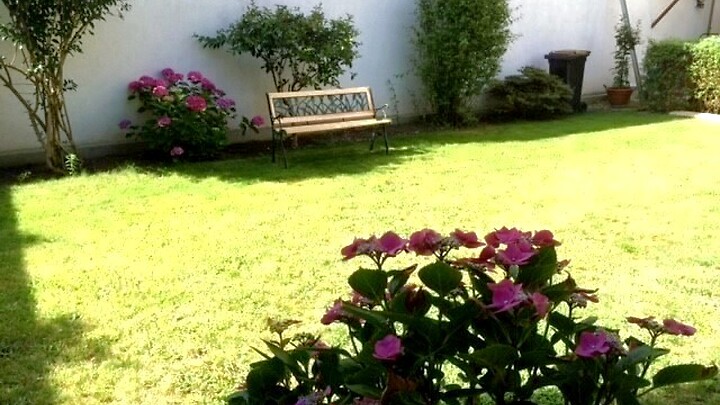 2 room apartment in Neu-Isenburg, furnished, temporary