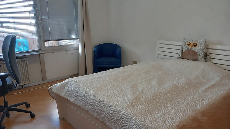 Picture 5
